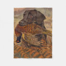 Search for chocolate lab blankets Labs