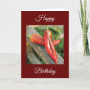 Search for chili cards Boyfriend