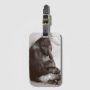 Search for silverback gorilla accessories Primate