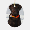 Search for chocolate lab christmas tree decorations Dog