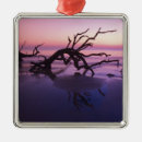 Search for georgia christmas tree decorations Driftwood