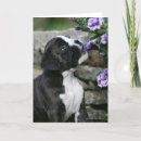 Search for pam cards Dog