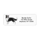 Search for australian shepherd dog return address labels Shepherds