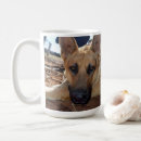 Search for alsatian mugs Dog