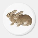 Search for large image magnets Animal
