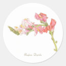 Search for floral illustration stickers Pretty