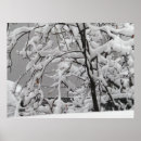 Search for beautiful winter posters Snow
