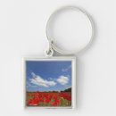 Search for field of flower key rings Plant