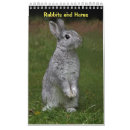 Search for rabbit calendars Bunnies