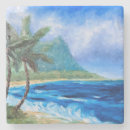 Search for hawaii coasters Summer