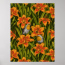 Search for lillies posters Floral