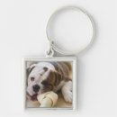 Search for bulldog key rings Animal