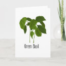 Search for kitchen garden cards Basil