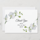 Search for orchid cards Chic