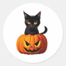 Search for cat pumpkin stickers Cute