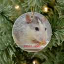 Search for rat christmas tree decorations Cute