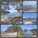 Search for pass stickers Washington