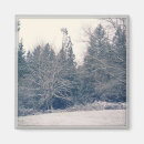 Search for winter white magnets Season