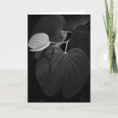 Search for leaf vein postcards Nature