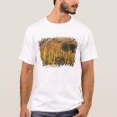 Search for saguaro national park tshirts Tucson