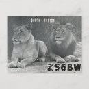 Search for the ham postcards Qsl