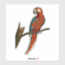 Search for red parrot stickers Animal