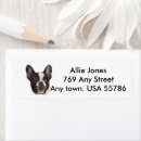 Search for terrier return address labels Bostons