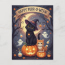 Search for black kittens postcards Pumpkins