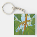 Search for geckos key rings Lizard