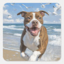Search for american pit stickers Dog