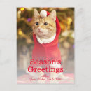 Search for male christmas cards Vertical