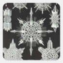 Search for aquatic animal stickers Marine life