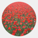 Search for field of flowers stickers Photograph