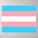 Search for trans flag posters Transgender pride flag