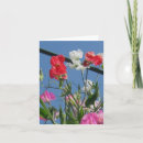 Search for sweetpea cards Flowers