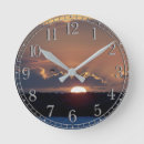 Search for seagull clocks Wildlife