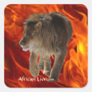 Search for lion picture stickers Africa