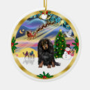 Search for long haired dachshund christmas tree decorations Dogs
