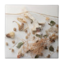 Search for porcelain tiles Botanical