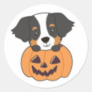 Search for bernese mountain dog lovers stickers Dogs