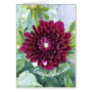 Search for congrats photography Flowers