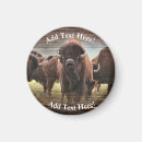 Search for herd magnets Buffalo