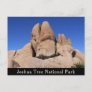 Search for joshua tree national park postcards Desert