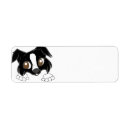 Search for dwarf return address labels Pet
