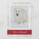 Search for arctic fox invitations Wildlife