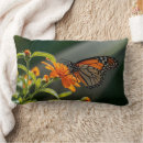 Search for monarch butterfly cushions Photography