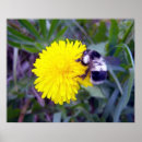 Search for bee image art Bumblebee