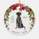 Search for red lab christmas tree decorations Cute