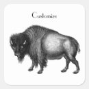 Search for buffalo bison stickers Bull