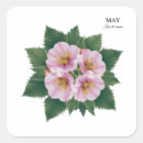 Search for may birthday stickers Birth month